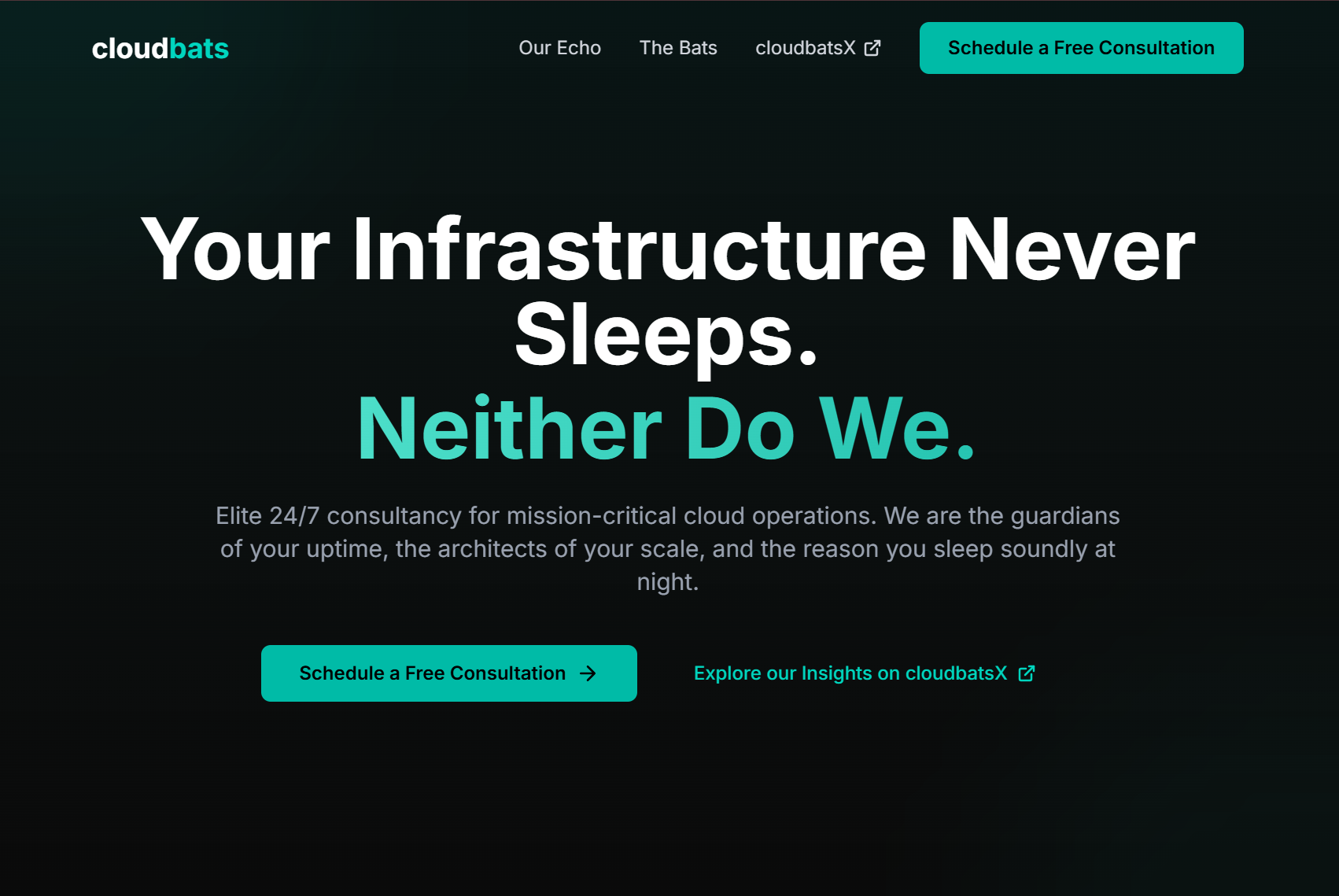 CloudBats - Cloud Consultancy screenshot